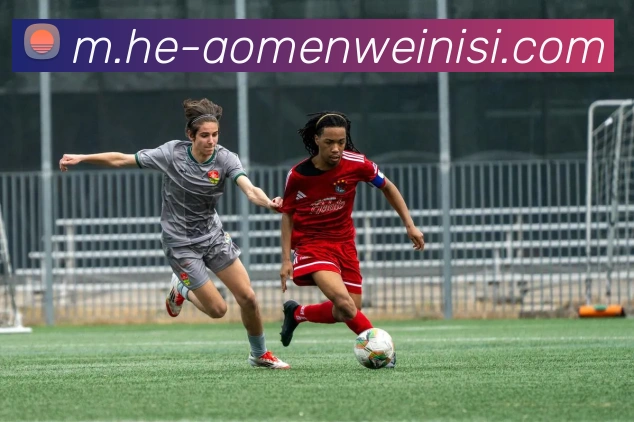 多媒体互动体验